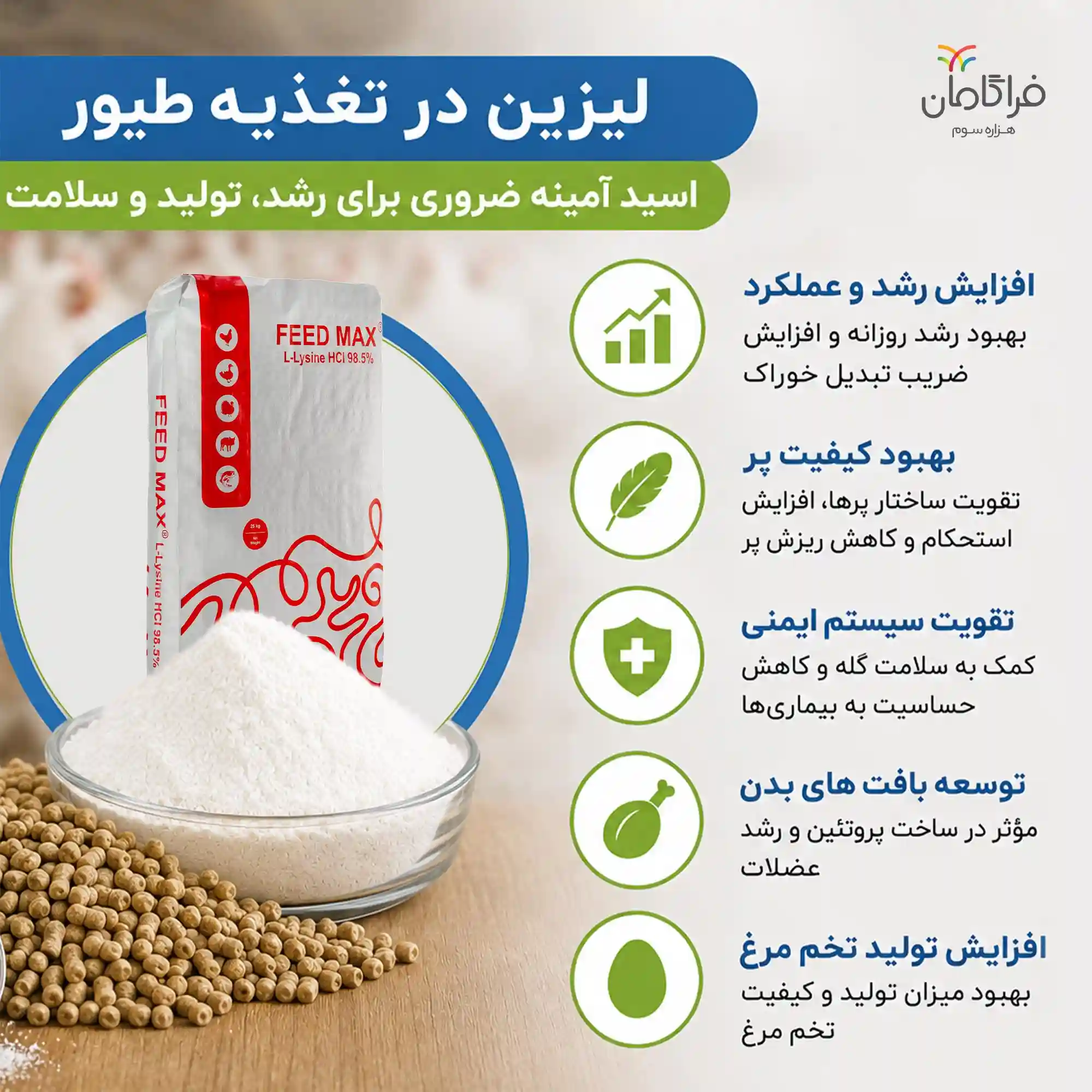 مزایا لیزین در تغذیه طیور