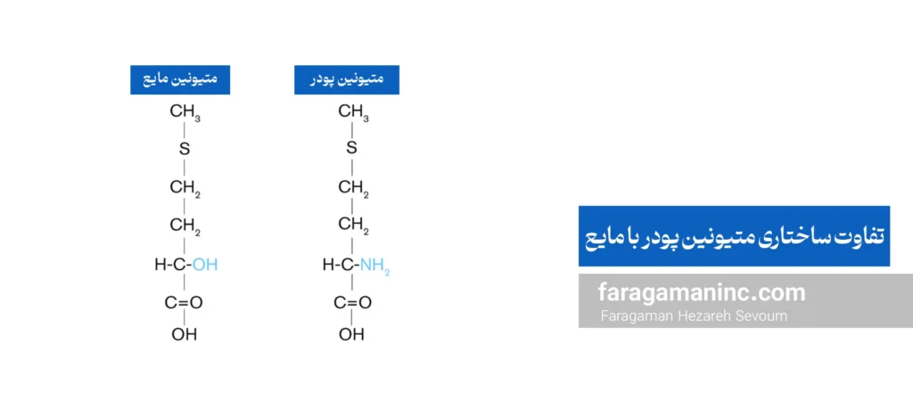 تفاوت ساختار متیونین پودر و مایع در طیور