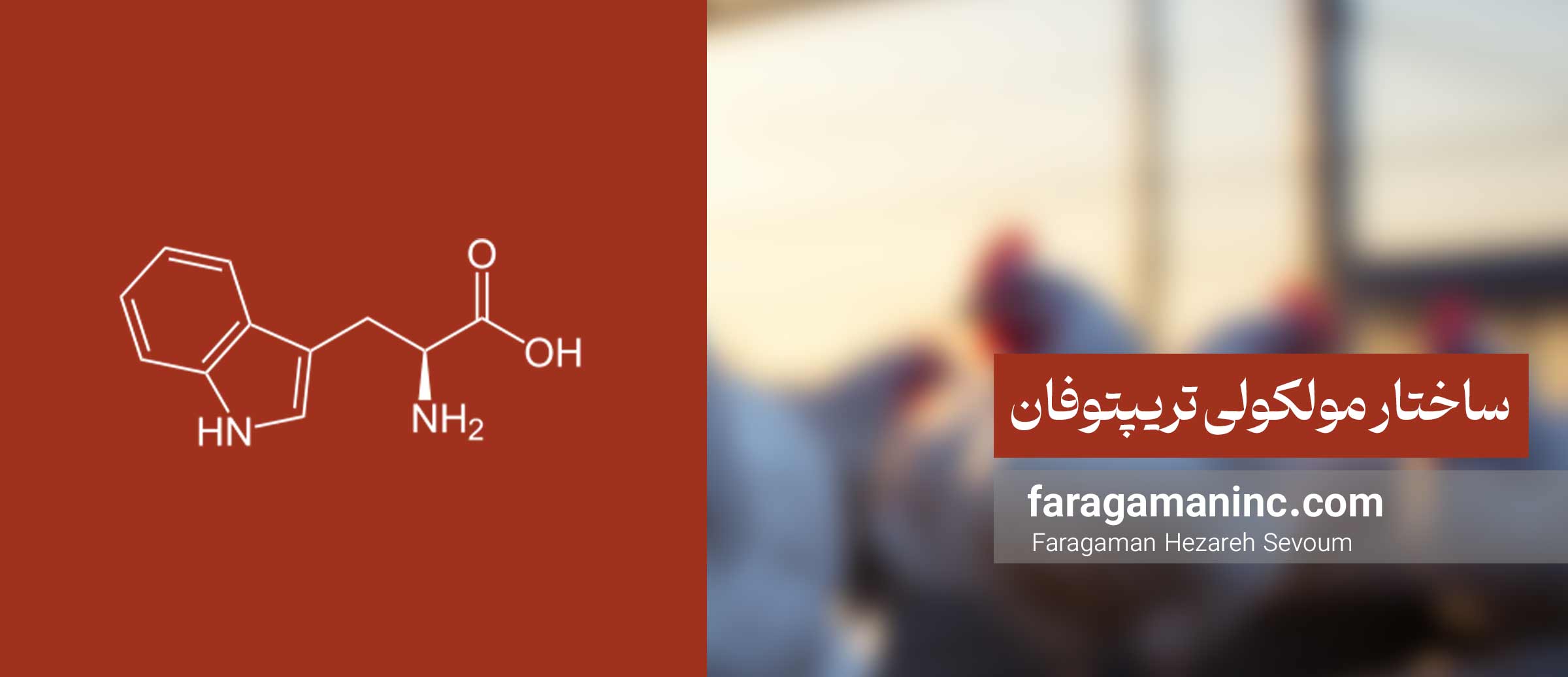 ساختار مولکولی تریپتوفان
