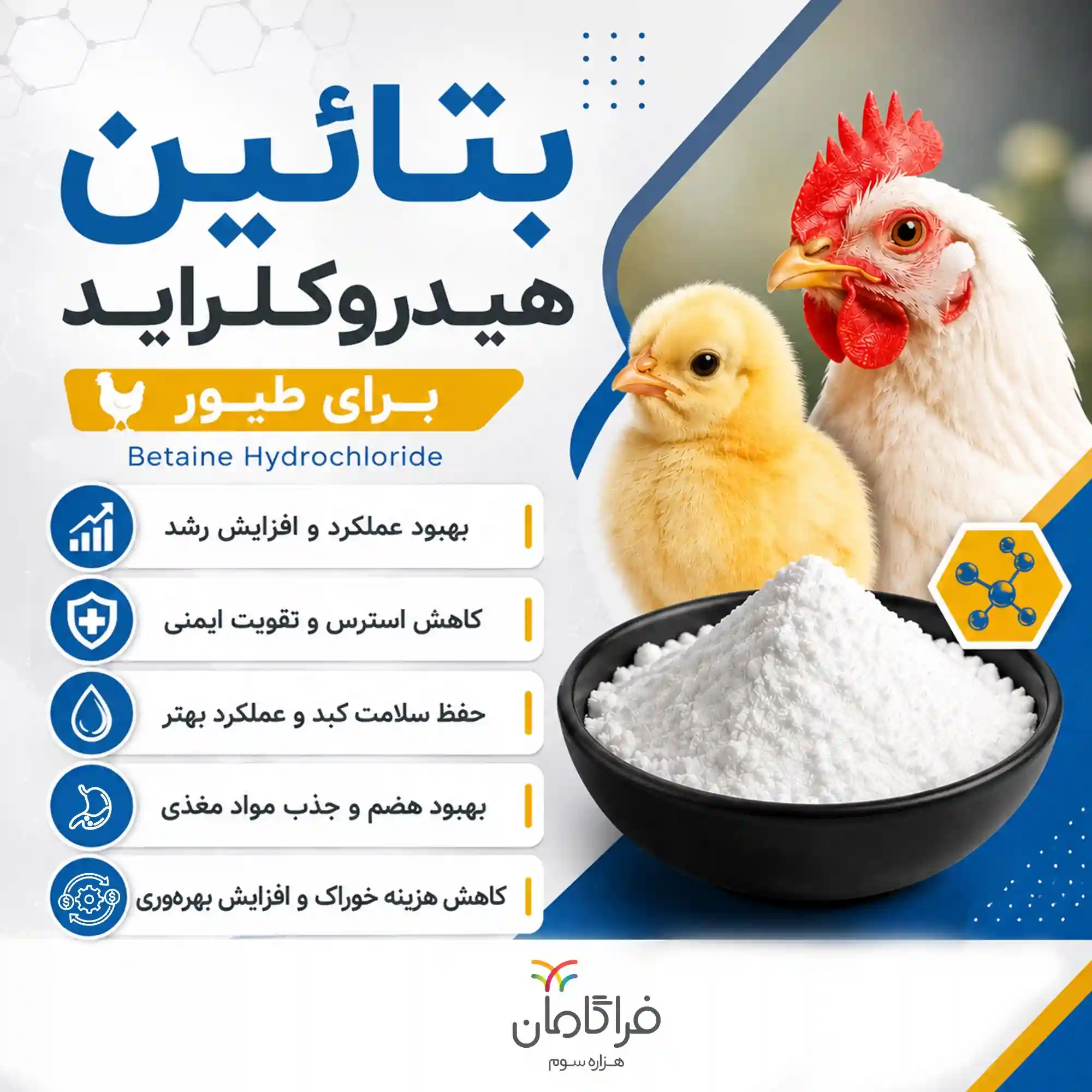 تاثیر بتائین هیدروکلراید در طیور