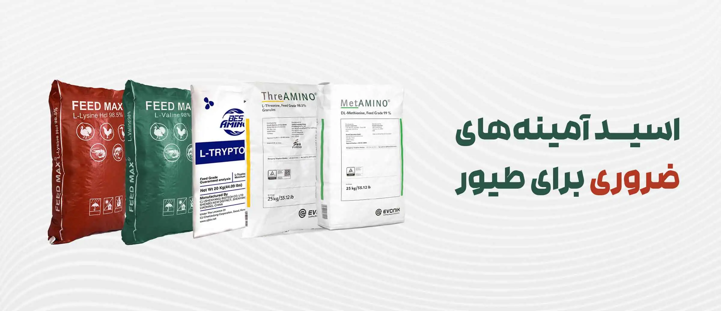 اسید آمینه های ضروری طیور