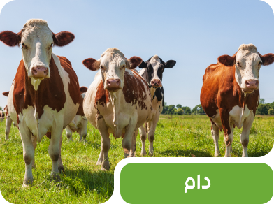 افزودنی های خوراک دام