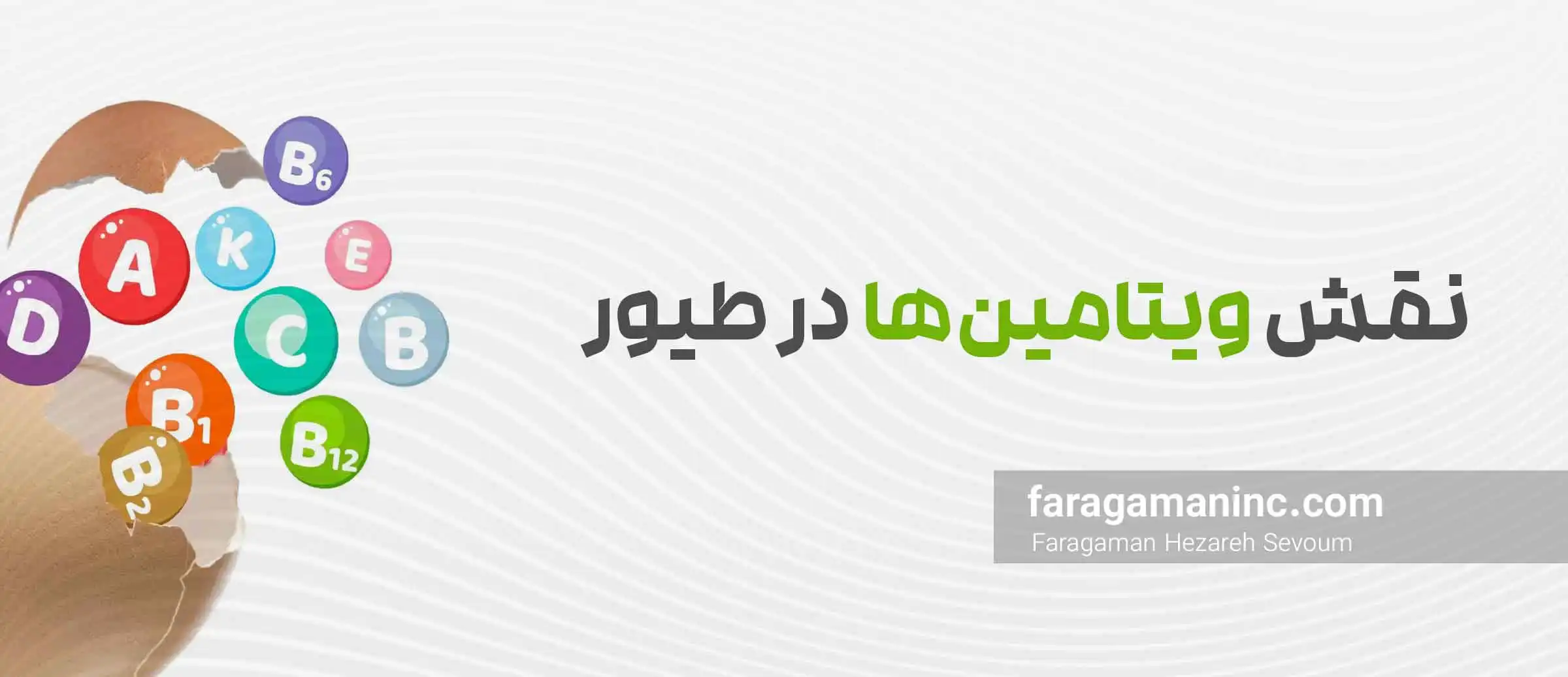 نقش ویتامین ها در طیور