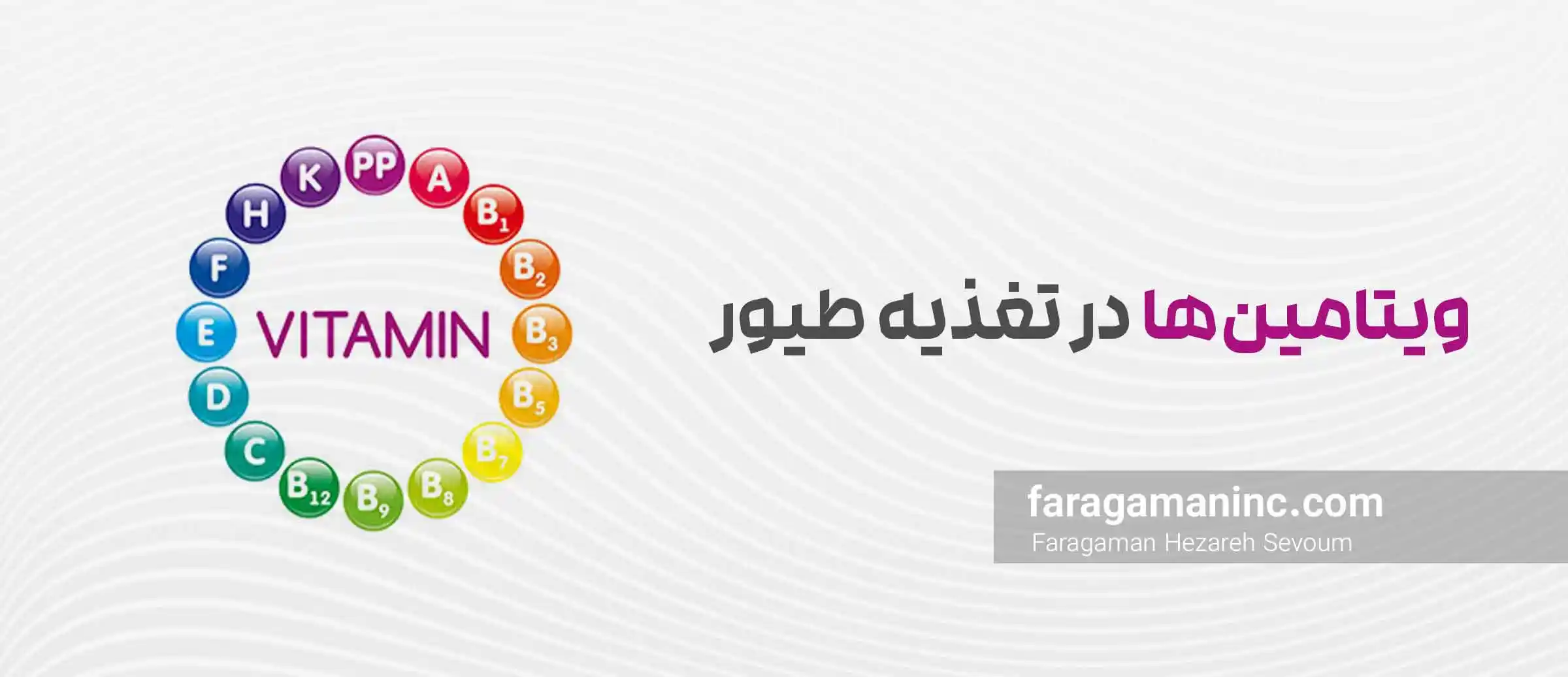 ویتامین ها در تغذیه طیور