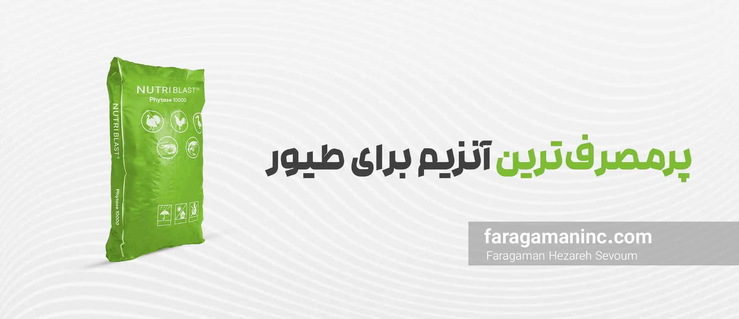 پرمصرف ترین آنزیم برای طیور