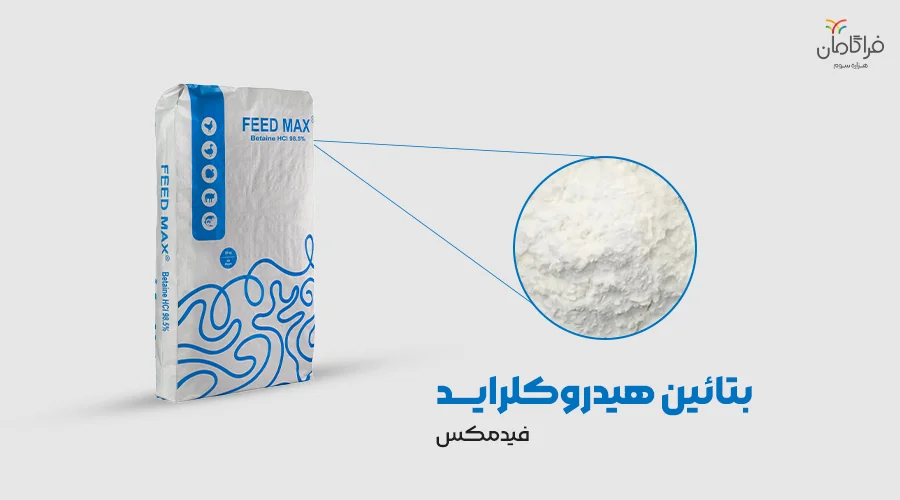 پودر بتائین هیدروکلراید فیدمکس
