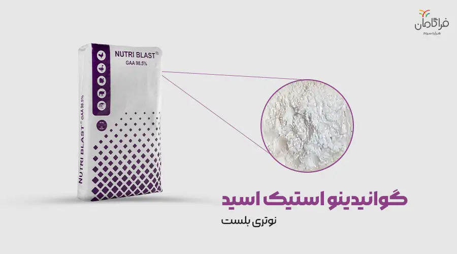 پودر گوانیدینو استیک اسید فید گرید