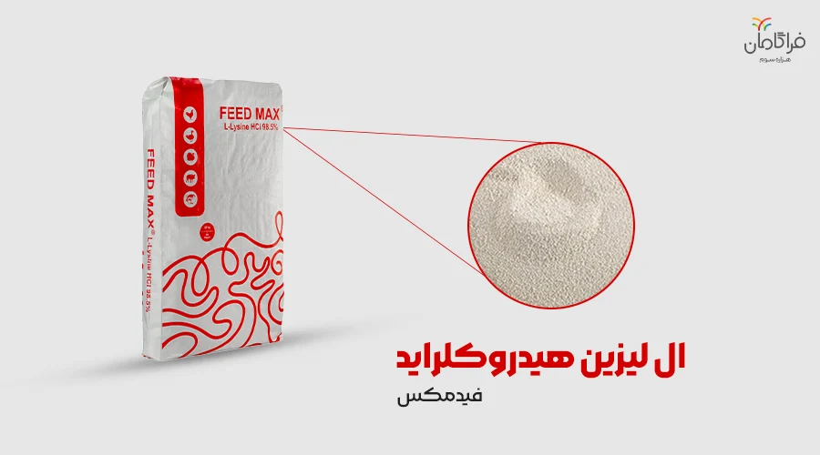 پودر لیزین هیدروکلراید فیدمکس