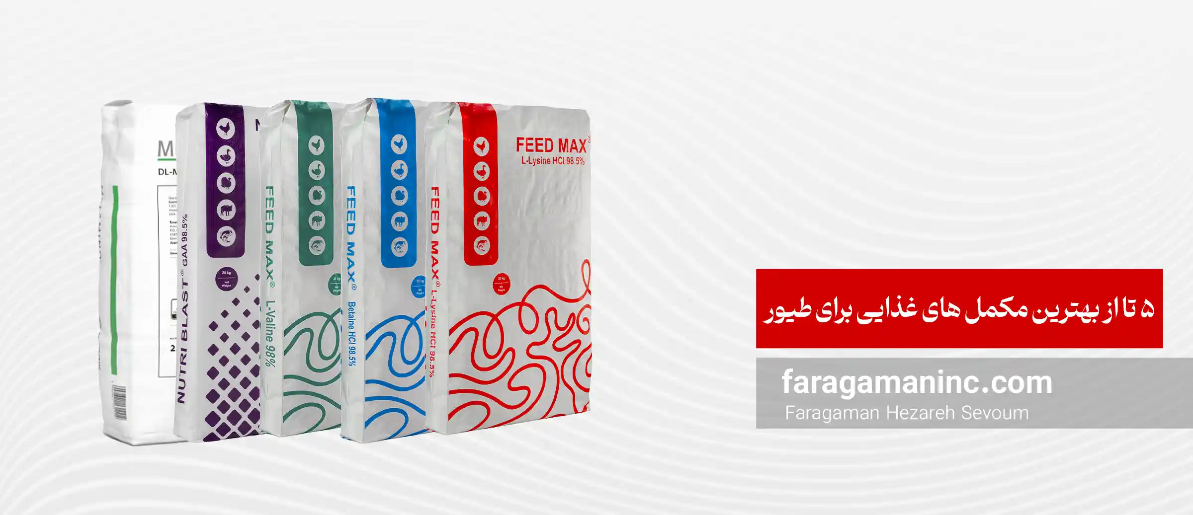 5 تا از بهترین مکمل های غذایی برای طیور