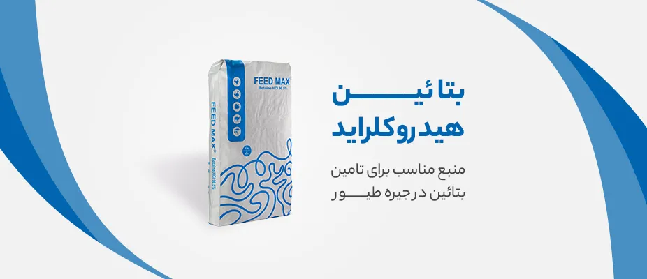 بتائین هیدروکلراید