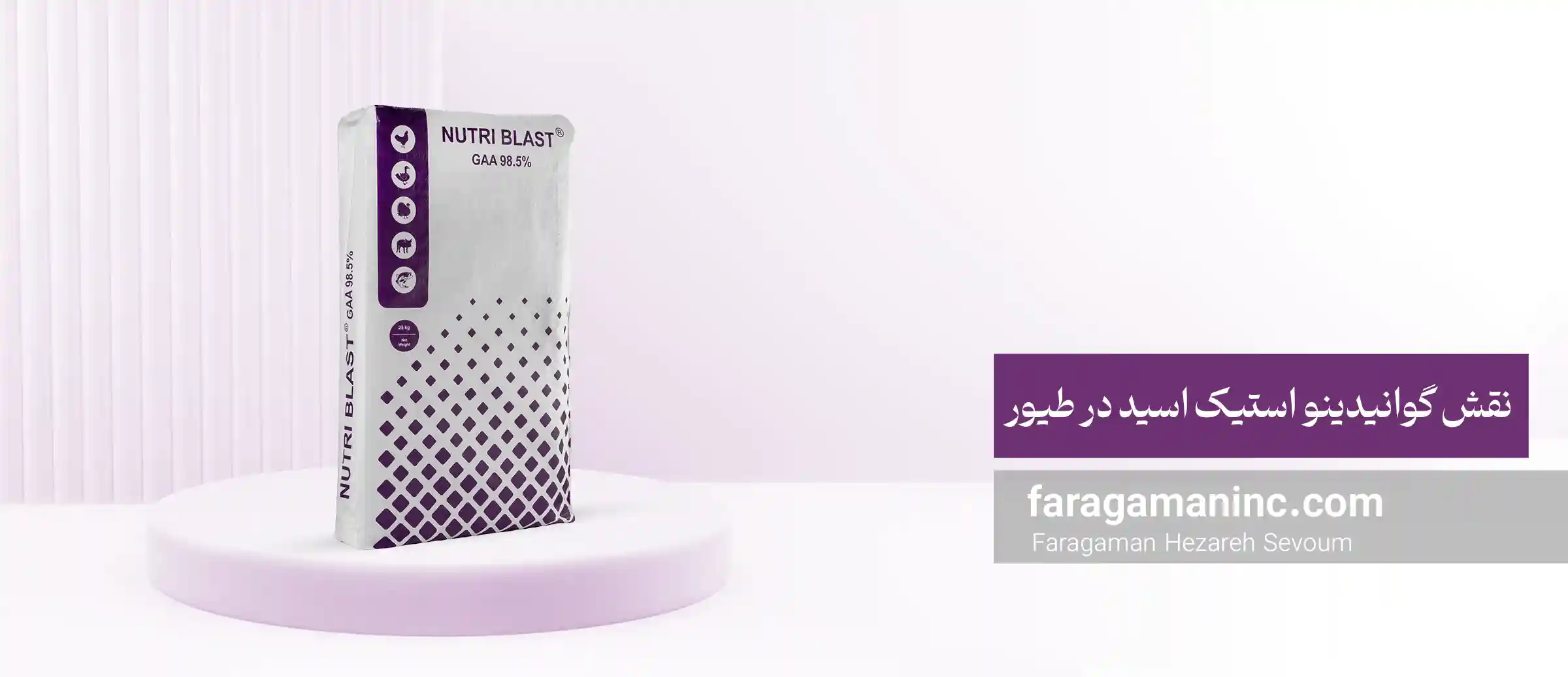 گوانیدینو استیک اسید در طیور