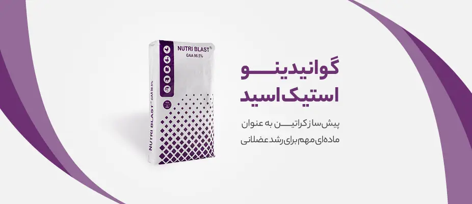 گوانیدین استیک اسید