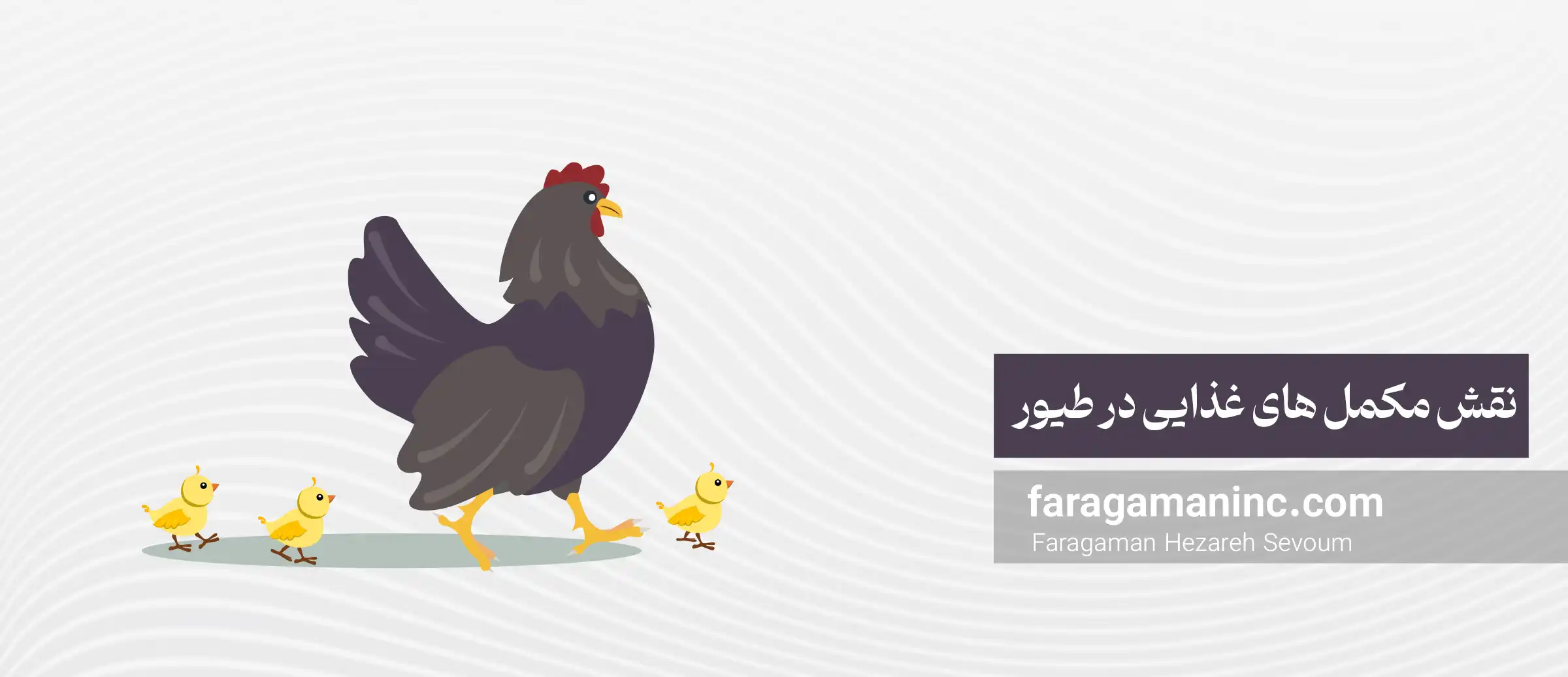 نقش مکمل های غذایی در طیور