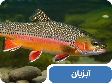 افزودنی های خوراک آبزیان