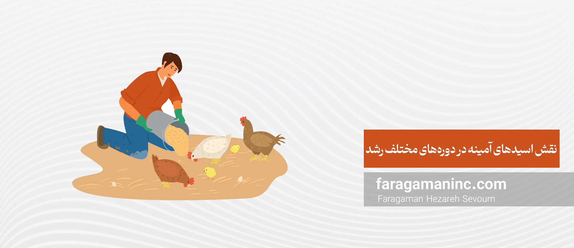 اسیدهای آمینه در دوره های مختلف رشد