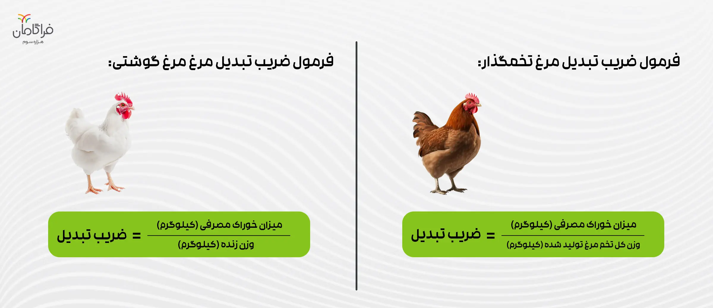 فرمول ضریب تبدیل مرغ گوشتی و تخمگذار