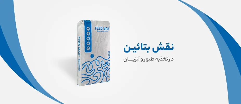 نقش بتائین در تغذیه طیور و آبزیان