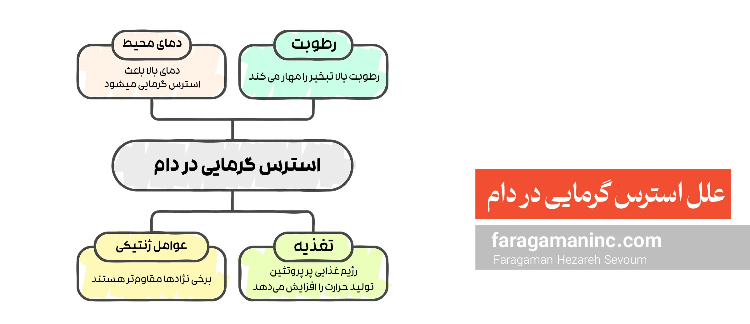 علل استرس گرمایی در دام