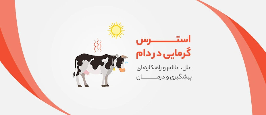 استرس گرمایی دام