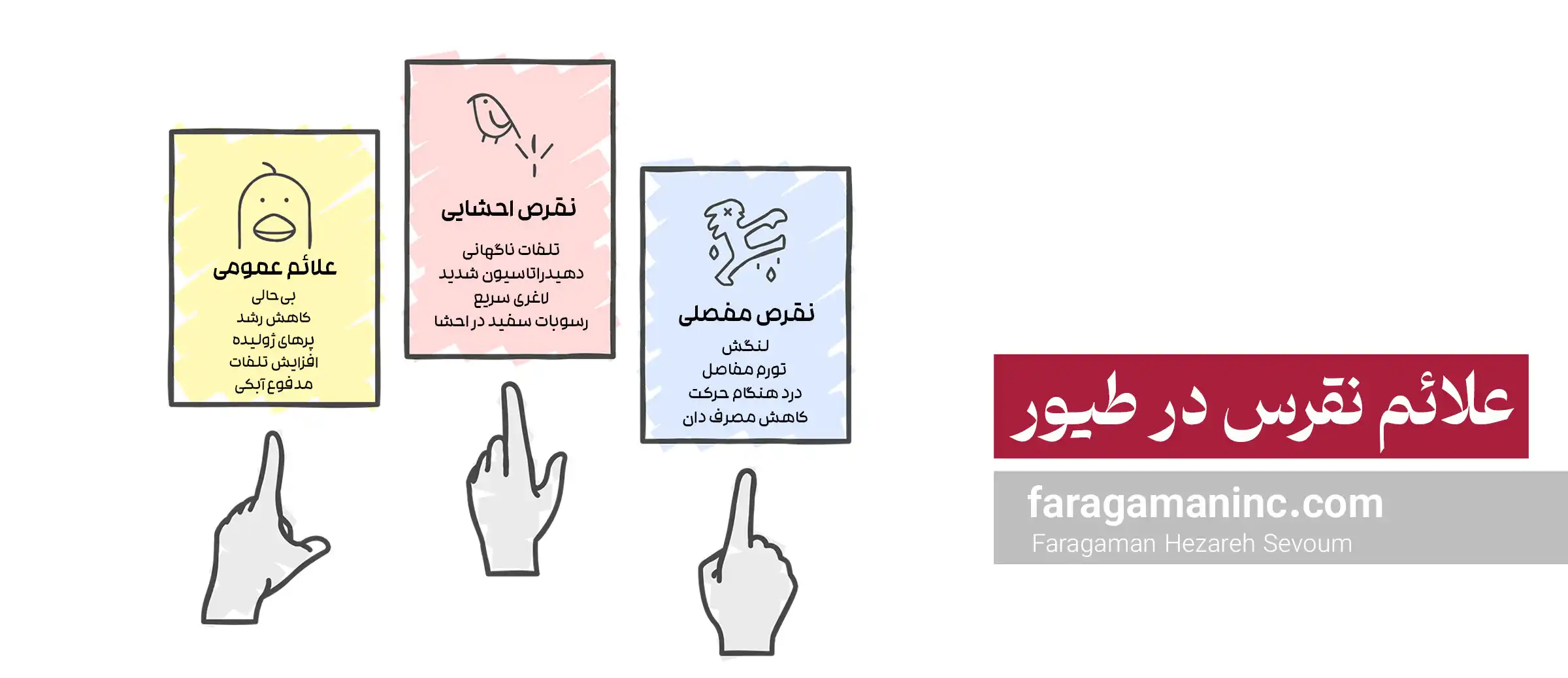 علائم نقرس در طیور