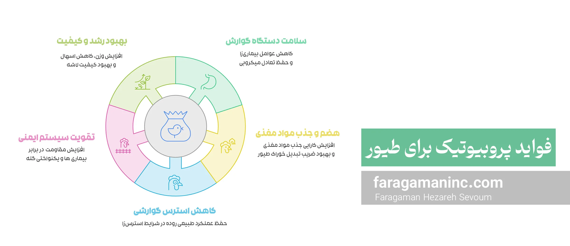 فواید پروبیوتیک برای طیور