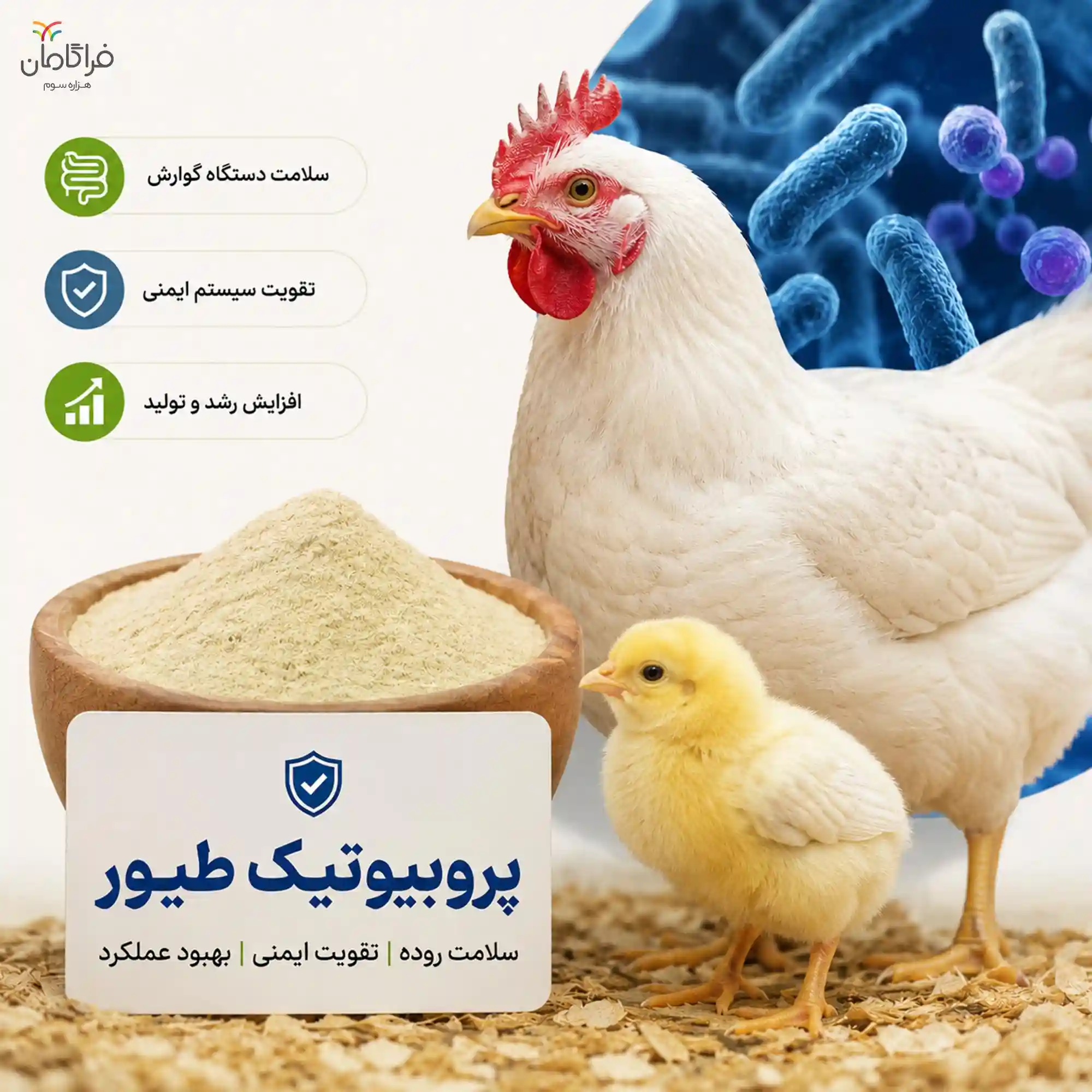 پروبیوتیک برای طیور