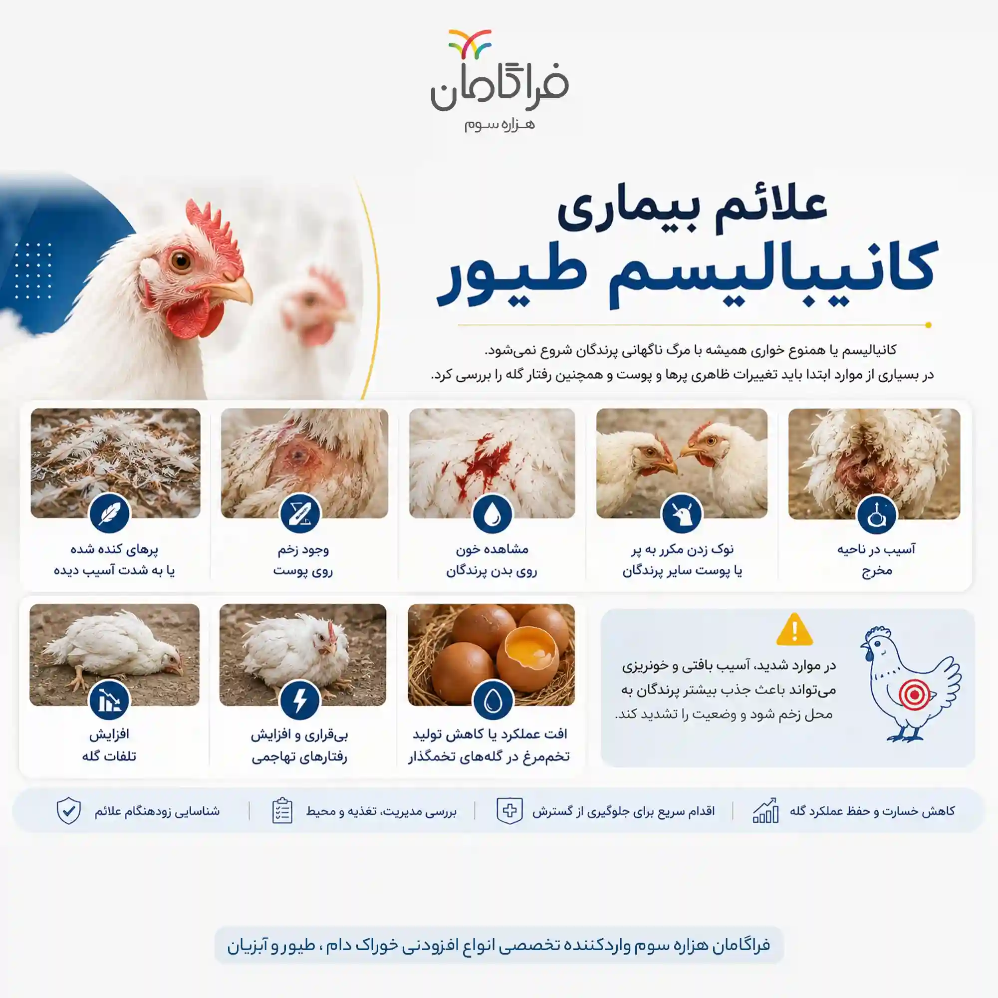 علائم کانیبالیسم در طیور
