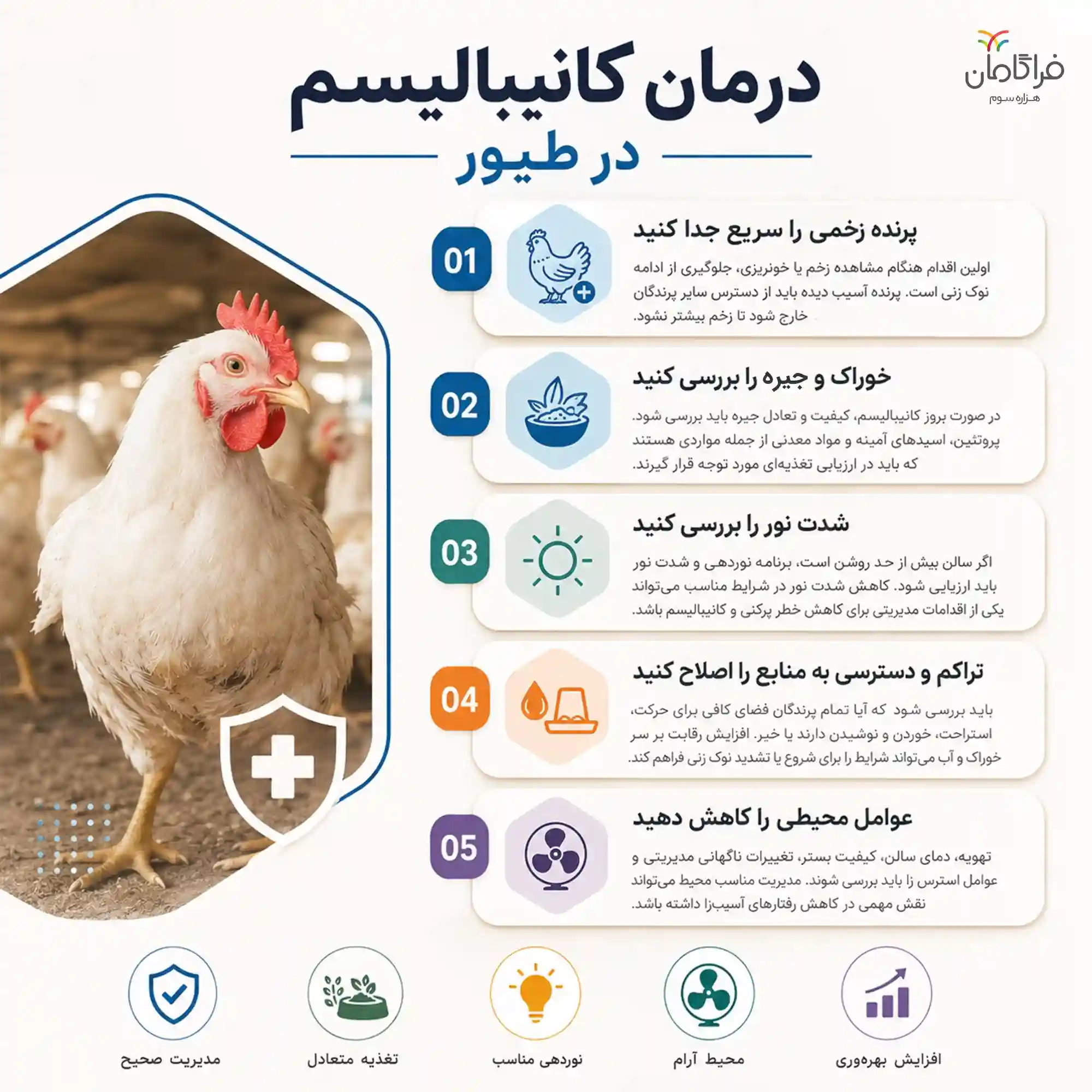 درمان کانیبالیسم در طیور